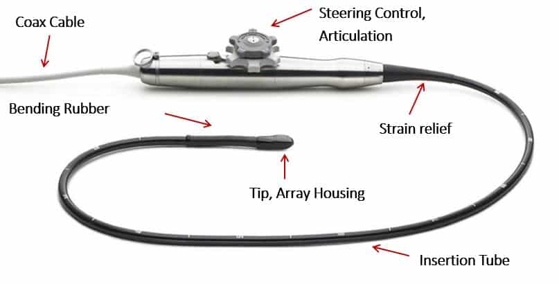 TEE transducer anatomy